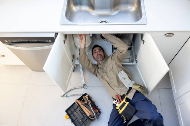Best Plumbing Services Near Me  in Birdsboro, PA